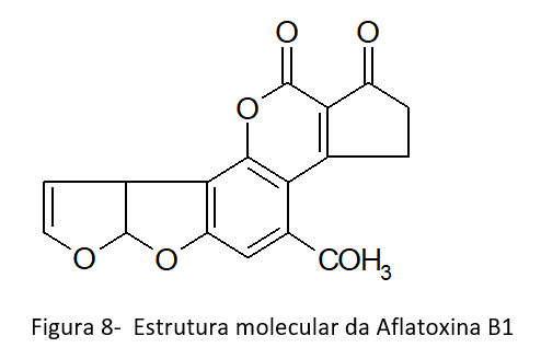 TRIGO E SUAS MICOTOXINAS Atualização – 2021 - Image 8
