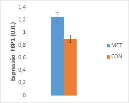 Metionina mais do que leite: Programação nutricional - Image 4