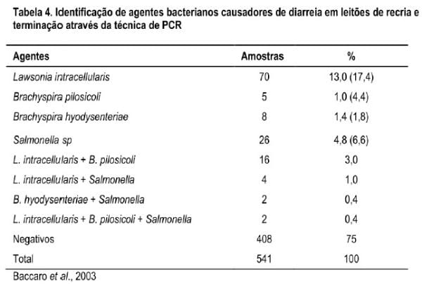Estudos recentes com enteropatógenos de suínos no Brasil - Image 4