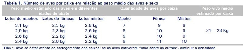 Manejo pré-abate em frangos de corte - Image 3
