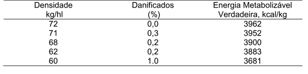 Milho: o grão que vale ouro nas dietas de aves mas que ainda não recebeu a devida importância do setor produtivo - Image 3