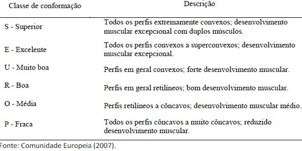 Classificação, tipificação e qualidade da carne bovina - Image 2