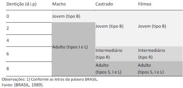 Classificação, tipificação e qualidade da carne bovina - Image 4