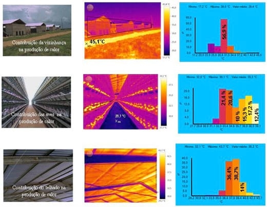 Análise de imagens em aviário de postura com sistemas de climatização - Image 1