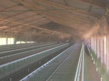 Análise de imagens em aviário de postura com sistemas de climatização - Image 6