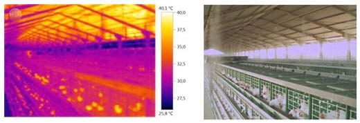 Análise de imagens em aviário de postura com sistemas de climatização - Image 7