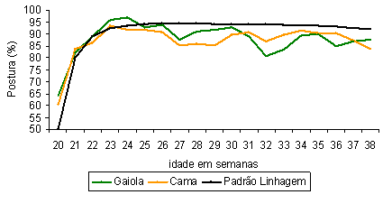 Impactos do bem-estar na produção de ovos - Image 4