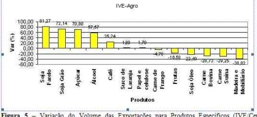 Cai faturamento das exportações do agronegócio no primeiro trimestre de 2009 - Image 5