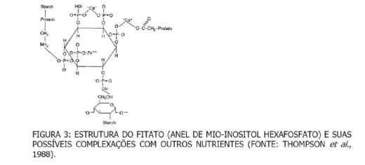 Impacto econômico e no meio ambiente com o uso de enzimas - Image 7
