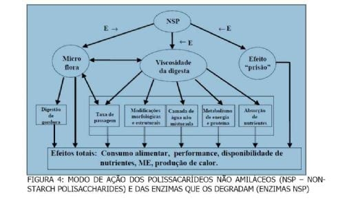 Impacto econômico e no meio ambiente com o uso de enzimas - Image 8