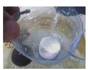 Sistemas de Abastecimento de Água e Processo de Sanitização na Produção Animal - Image 4
