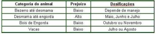 Controles Estratégicos de Verminoses nos Bovinos - Image 4