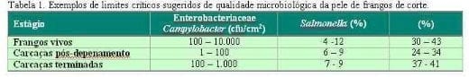 Qualidade e segurança na produção de carne de aves - Image 2