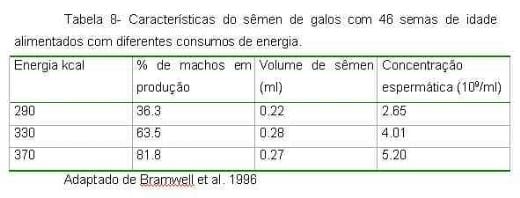 Exigências Nutricionais de Proteína e Energia para Galos Reprodutores de Corte na Fase de Produção - Image 9
