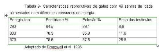 Exigências Nutricionais de Proteína e Energia para Galos Reprodutores de Corte na Fase de Produção - Image 10