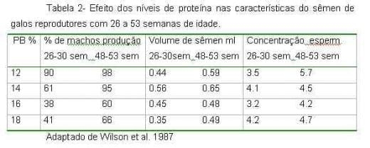 Exigências Nutricionais de Proteína e Energia para Galos Reprodutores de Corte na Fase de Produção - Image 2