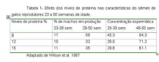 Exigências Nutricionais de Proteína e Energia para Galos Reprodutores de Corte na Fase de Produção - Image 1
