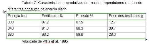 Exigências Nutricionais de Proteína e Energia para Galos Reprodutores de Corte na Fase de Produção - Image 8