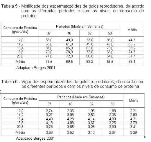 Exigências Nutricionais de Proteína e Energia para Galos Reprodutores de Corte na Fase de Produção - Image 4