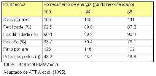 Nutrição de Matrizes para a Máxima Produtividade - Image 11