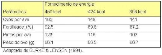 Nutrição de Matrizes para a Máxima Produtividade - Image 9