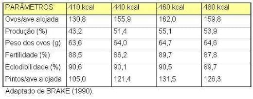 Nutrição de Matrizes para a Máxima Produtividade - Image 10