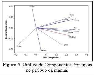 Utilização de Imagens Termográficas na Produção de Frangos de Corte - Image 4