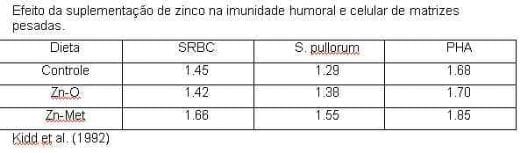 Uso de Minerais Orgânicos na Avicultura - Image 3