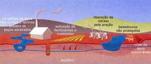 A Importância da Qualidade da Água na Pecuária de Leite - Image 2
