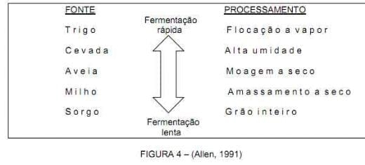 Nutrição da vaca em lactação e a qualidade do leite - Image 8