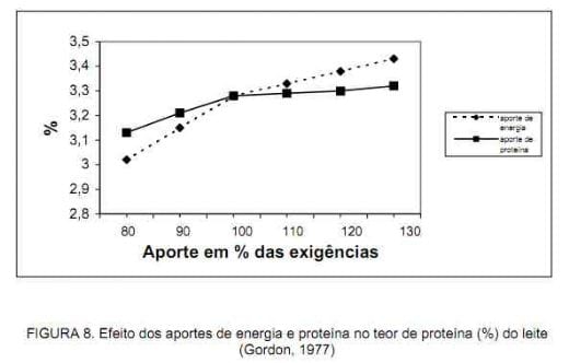 Nutrição da vaca em lactação e a qualidade do leite - Image 16