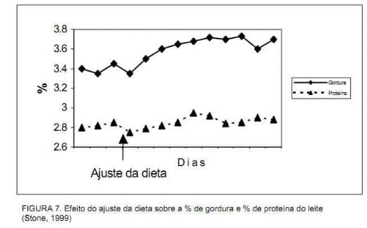 Nutrição da vaca em lactação e a qualidade do leite - Image 12