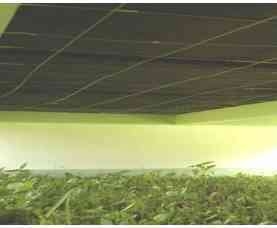 Análise de variáveis ambientais em modelos reduzidos de instalações agropecuárias com forro de resíduo de EVA - Image 2
