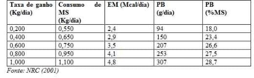 Impactos da fase de criação na vida produtiva futura - Image 2
