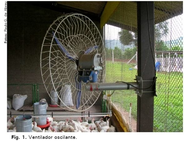 Avaliação de sistemas de ventilação (fixo e oscilante) e materiais de cama (casca de arroz e palhada de soja) na produção de frangos de corte - Image 1