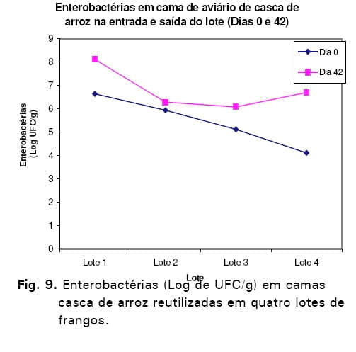 Avaliação de sistemas de ventilação (fixo e oscilante) e materiais de cama (casca de arroz e palhada de soja) na produção de frangos de corte - Image 36