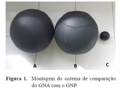 AVALIACÃO DE INSTRUMENTOS AGROMETEOROLÓGICOS ALTERNATIVOS PARA O MONITORAMENTO DA AMBIÊNCIA EM GALPÕES AVÍCOLAS - Image 1