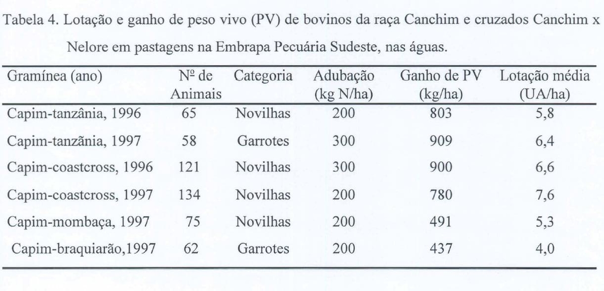 Produção intensiva de carne bovina em pastagens - Image 7