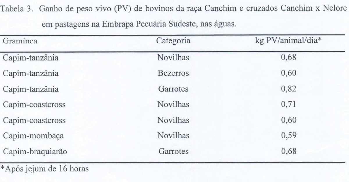 Produção intensiva de carne bovina em pastagens - Image 5