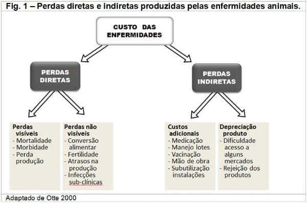 Impacto econômico da influenza aviar no setor avícola - Image 1