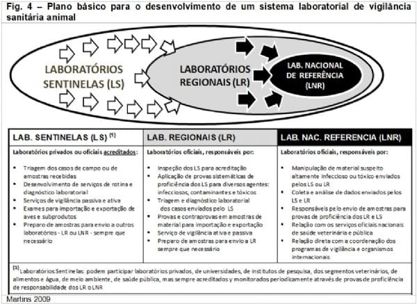 Impacto econômico da influenza aviar no setor avícola - Image 5