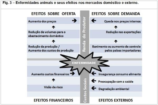 Impacto econômico da influenza aviar no setor avícola - Image 3