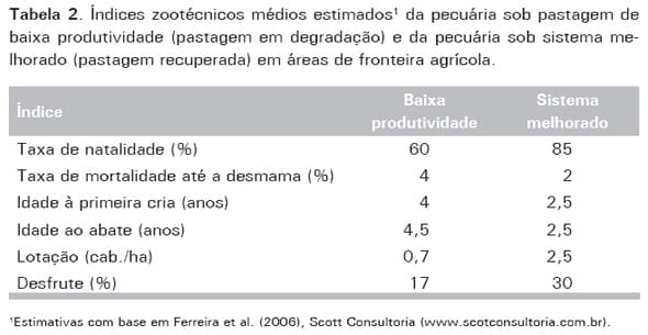 Produção de Bovinos a Pasto na Fronteira Agrícola - Image 2
