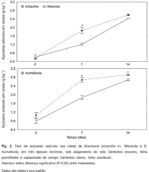 Respostas Morfofisiológicas de spp. ao Alagamento do Solo e a Síndrome da Morte do Capim-marandu Brachiaria - Image 3