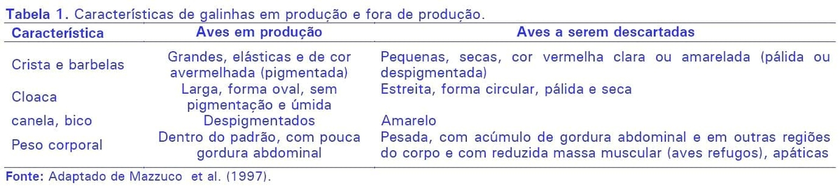 Identificação e descarte de poedeiras improdutivas - Image 1