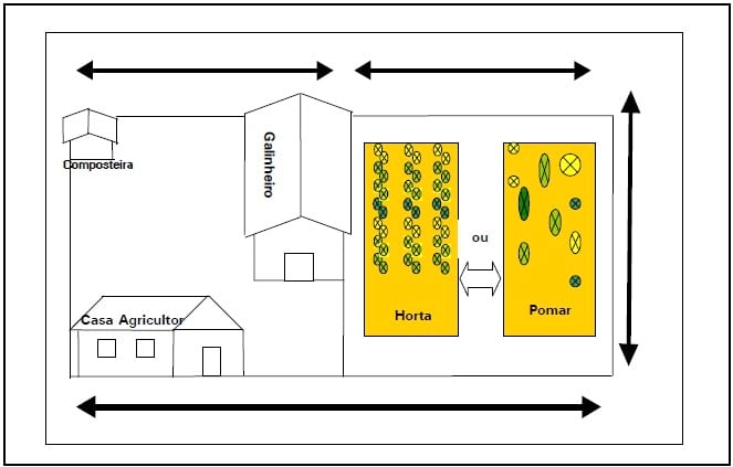 Sistema para produção de ovos com a poedeira EMBRAPA 051 - Image 3