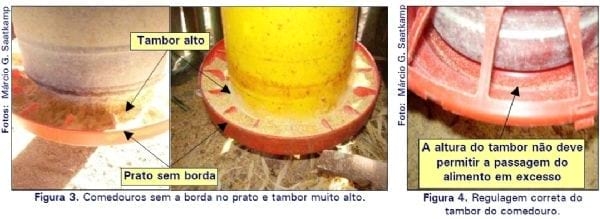 Regulagem e distribuição de comedouros tubulares e bebedouros pendulares em aviários convencionais - Image 2