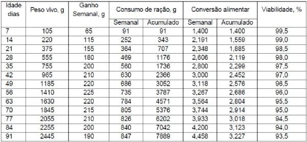 Criação dos frangos de corte coloniais (EMBRAPA 041) - Image 2