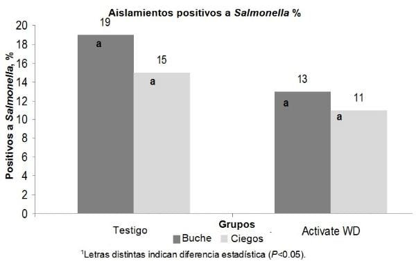 Uso de um ácido orgânico (Activate® WD) como intervenção de campo para reduzir o número de Salmonella spp. Em frangos de corte - Image 1