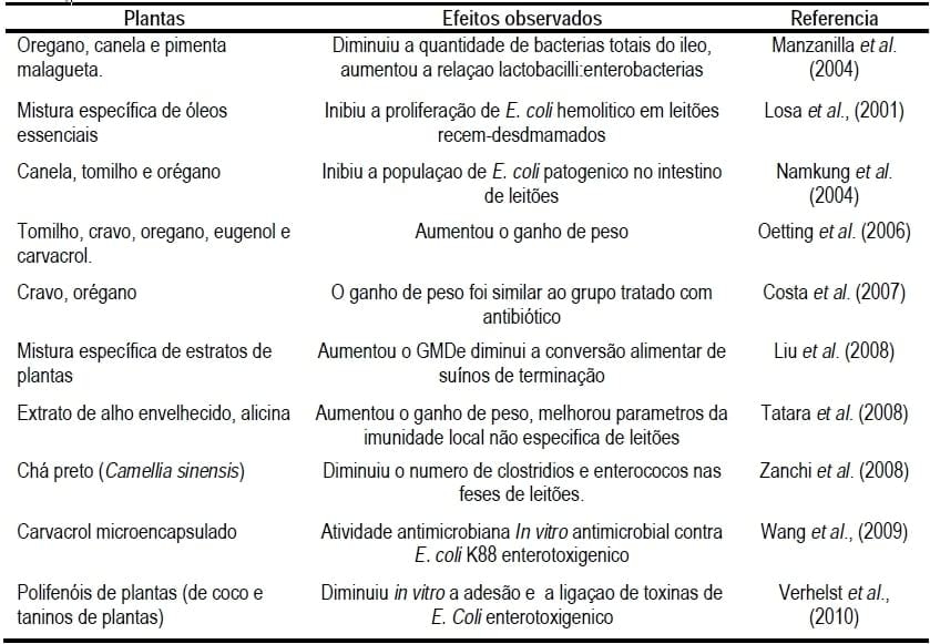 Uso de extratos de plantas e acidificantes para suínos, o que diz a ciência e a prática atual? - Image 7